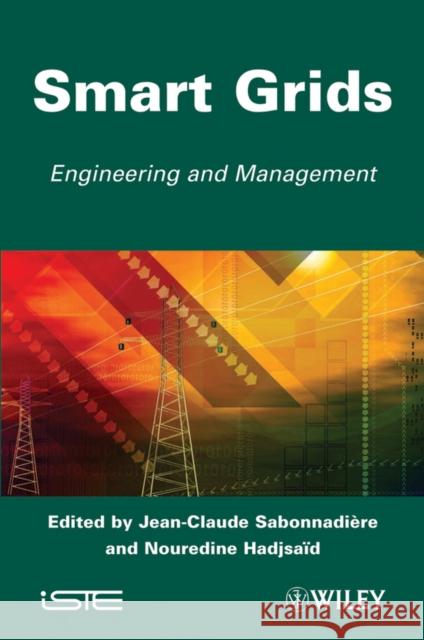 Smart Grids Jean-Claude Sabonnadi?re Nouredine Hadjsa?d 9781848212619 Wiley-Iste