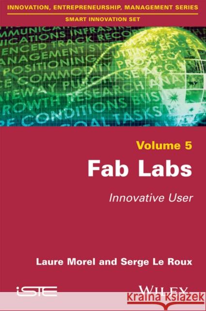 Fab Labs: Innovative User Laure Morel Serge L 9781848218727