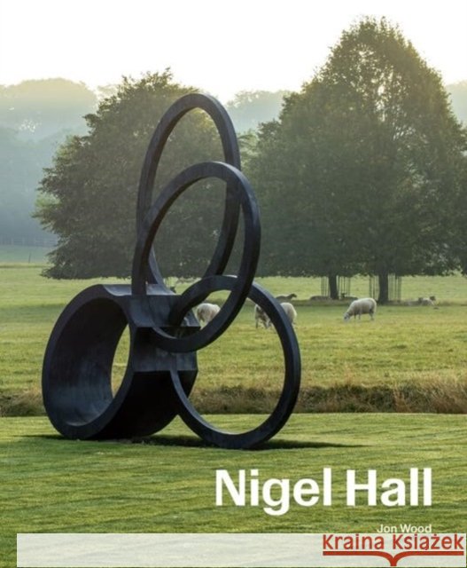 Nigel Hall: Sculpture & Drawings Jon Wood 9781848225657 Lund Humphries Publishers Ltd