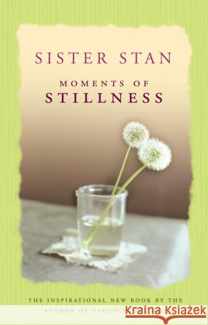 Moments of Stillness Stanislaus Kennedy 9781848272422