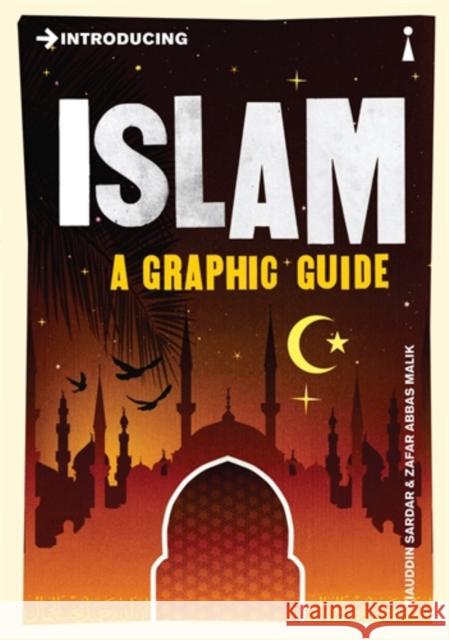 Introducing Islam: A Graphic Guide Ziauddin Sardar 9781848310841