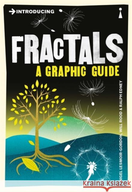 Introducing Fractals: A Graphic Guide Will Rood 9781848310872