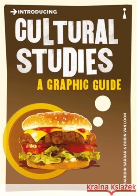 Introducing Cultural Studies: A Graphic Guide Ziauddin Sardar 9781848311817 0