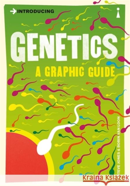 Introducing Genetics: A Graphic Guide Steve Jones 9781848312951 Icon Books