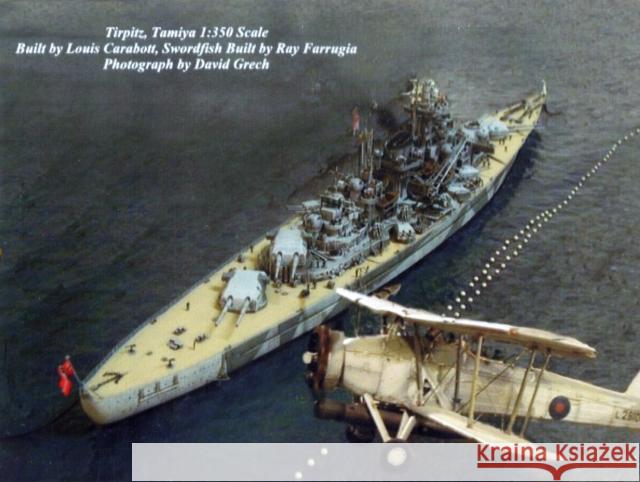 Bismarck and Tirpitz Steve Backer 9781848320055