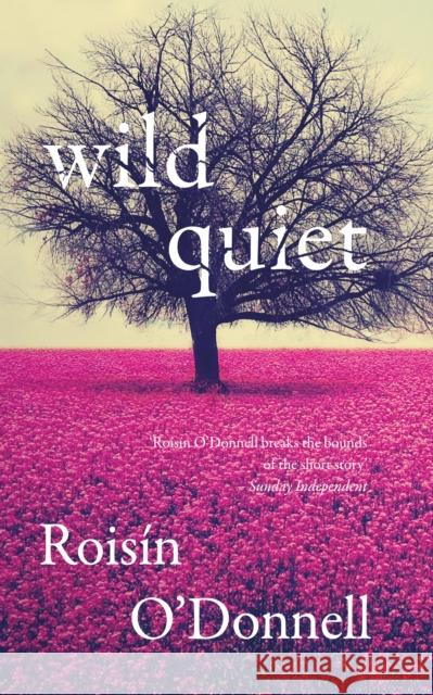 Wild Quiet Roisin ODonnell 9781848405004