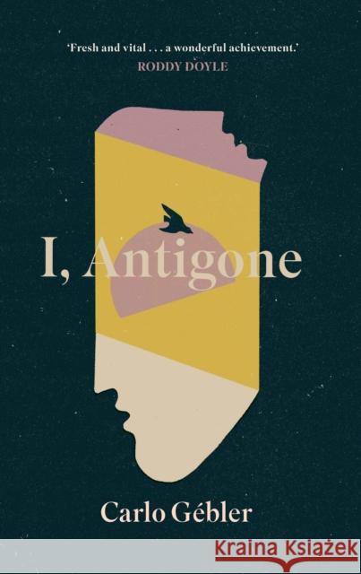 I, Antigone Carlo Gebler 9781848408142 New Island Books