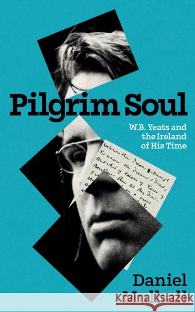 Pilgrim Soul: W.B. Yeats and the Ireland of His Time Daniel Mulhall 9781848408814