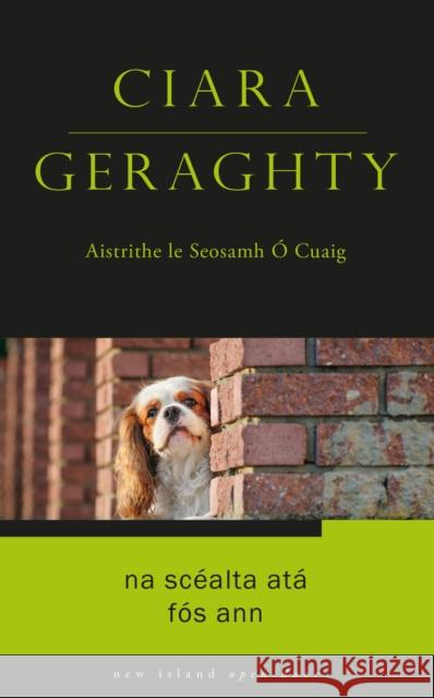 Na Scealta Ata Fos Ann Ciara Geraghty 9781848408975 New Island Books