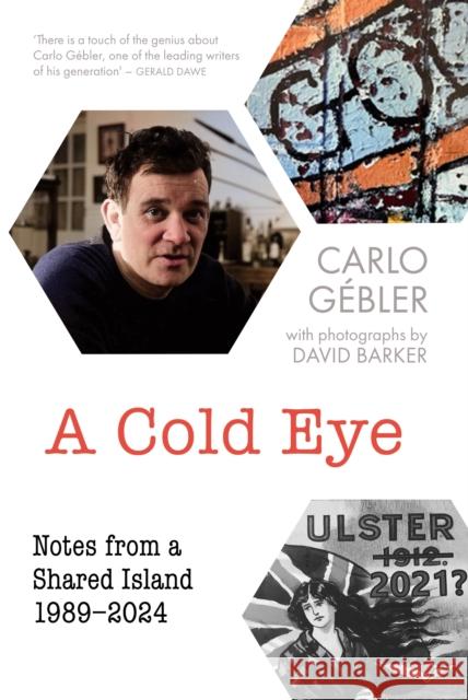 A Cold Eye: Notes from a Shared Island, 1989–2024 Carlo Gebler 9781848409002 New Island Books