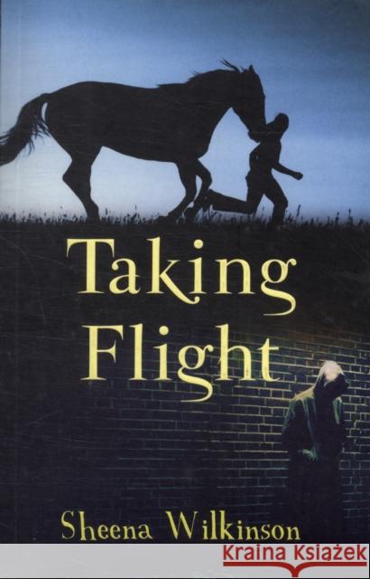 Taking Flight Sheena Wilkinson 9781848409491