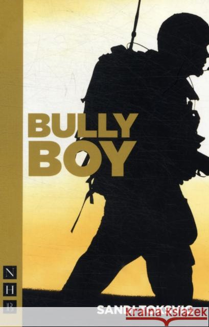 Bully Boy Sandi Toksvig 9781848422964 0