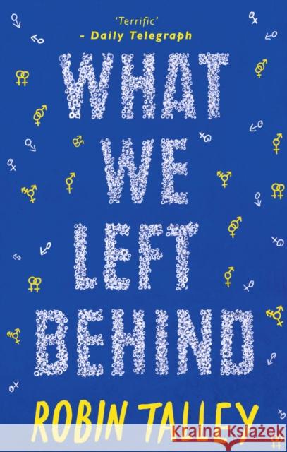 What We Left Behind Robin Talley 9781848453913