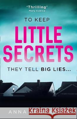 Little Secrets  Snoekstra, Anna 9781848457119 