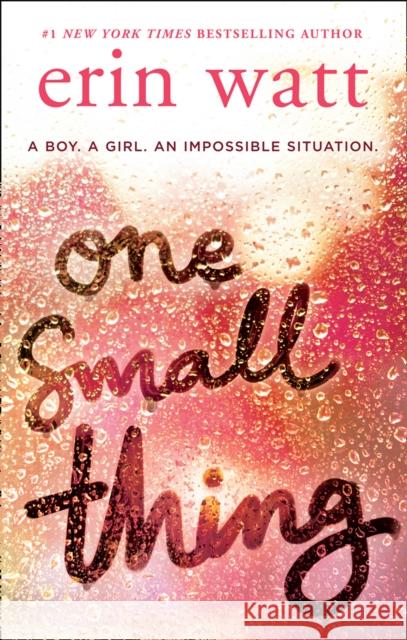 One Small Thing Erin Watt 9781848457430