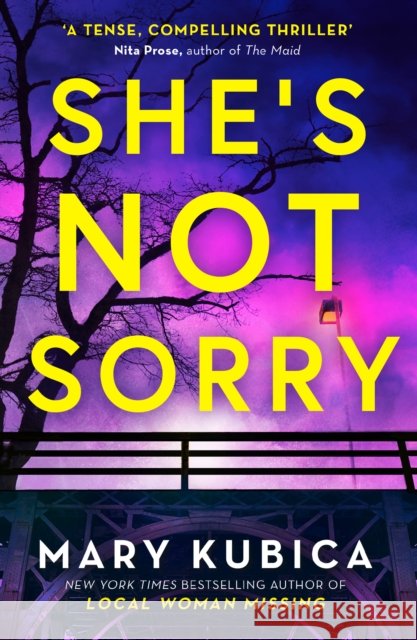 She's Not Sorry Mary Kubica 9781848459243