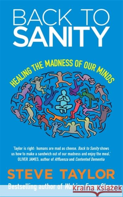 Back to Sanity: Healing the Madness of Our Minds Taylor, Steve 9781848505476 0