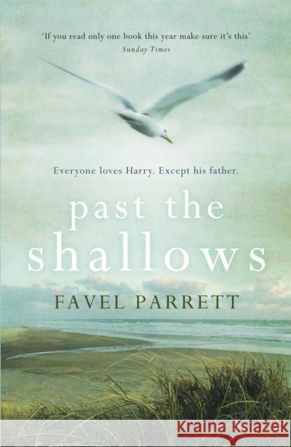 Past the Shallows Favel Parrett 9781848547506