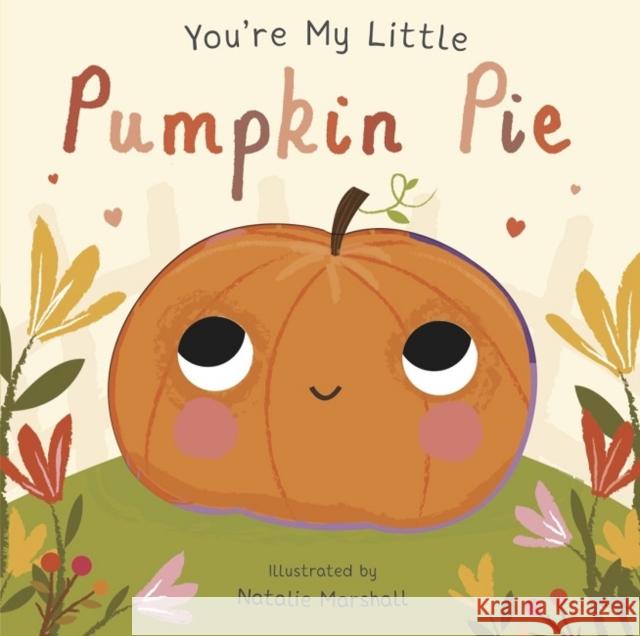You're My Little Pumpkin Pie Edwards, Nicola 9781848577152