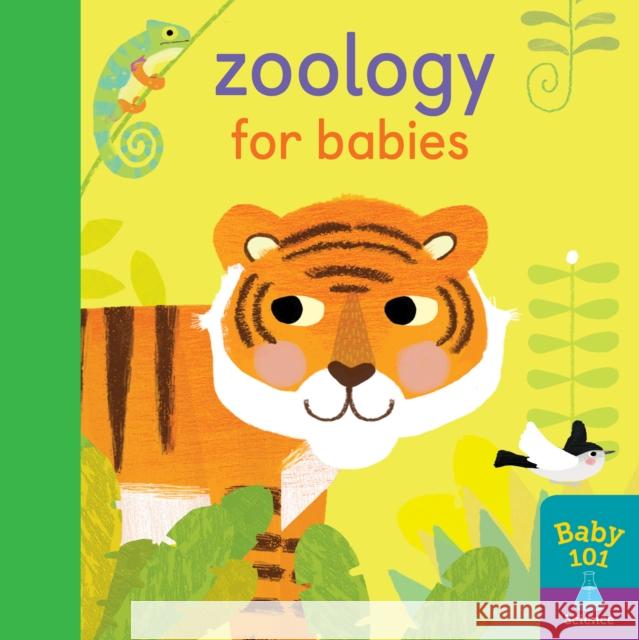 Zoology for Babies Thomas Elliott Jonathan Litton  9781848577572