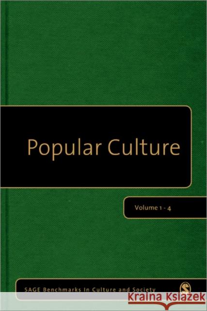 Popular Culture Michael Pickering 9781848602007 Sage Publications (CA)