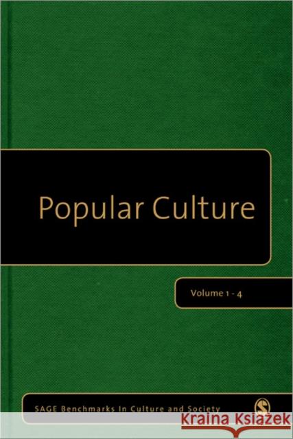 Popular Culture Michael Pickering 9781848602007