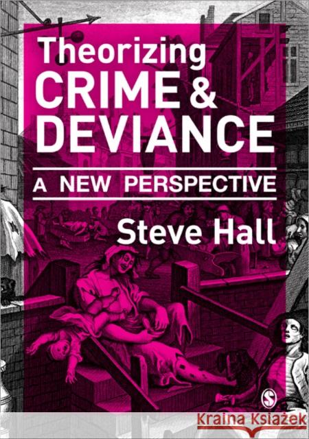 Theorizing Crime & Deviance: A New Perspective Hall, Steve 9781848606722