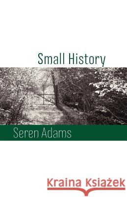 Small History Seren Adams 9781848612457 Shearsman Books