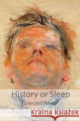 History or Sleep - Selected Poems Robert Sheppard 9781848613980