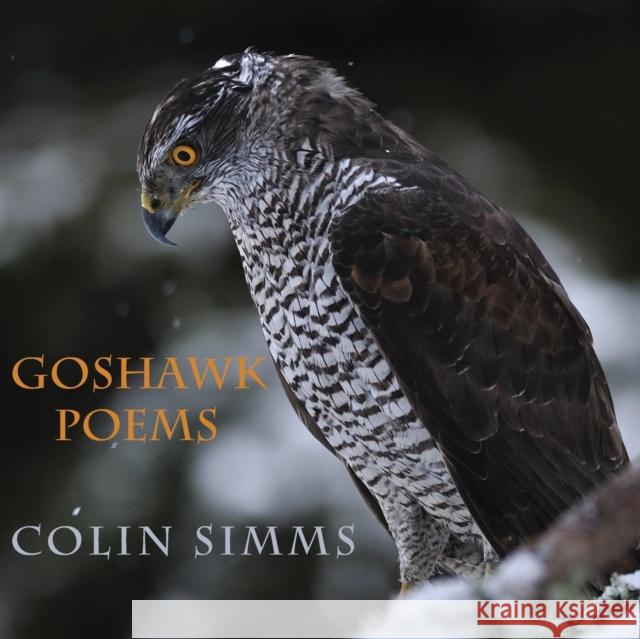 Goshawk Poems Colin Simms 9781848615250 Shearsman Books