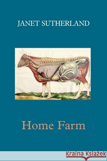 Home Farm Janet Sutherland 9781848616431 Shearsman Books