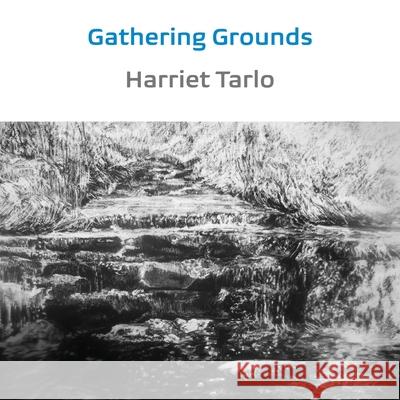 Gathering Grounds: 2011-2019 Harriet Tarlo, Judith Tucker 9781848616691