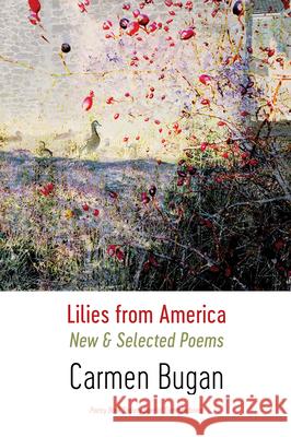 Lilies from America: New and Selected Poems Carmen Bugan 9781848616738