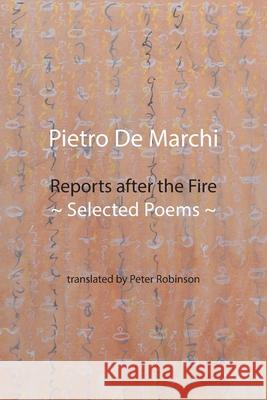 Reports after the Fire: Selected Poems Pietro d Peter Robinson 9781848617988 Shearsman Books