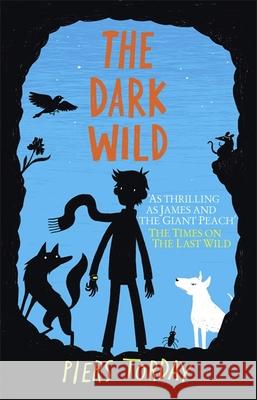 Dark Wild: Book 2, The Piers Torday 9781848663787