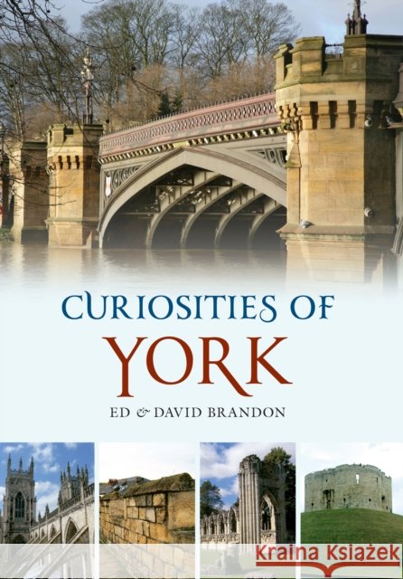 Curiosities of York David Brandon 9781848683990