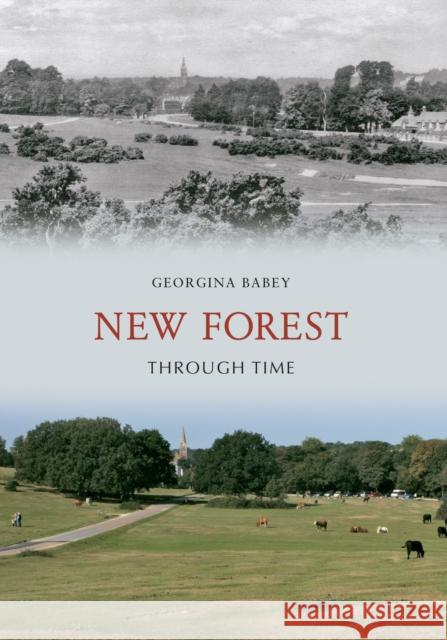 New Forest Through Time Georgina Babey 9781848686410 Amberley Publishing