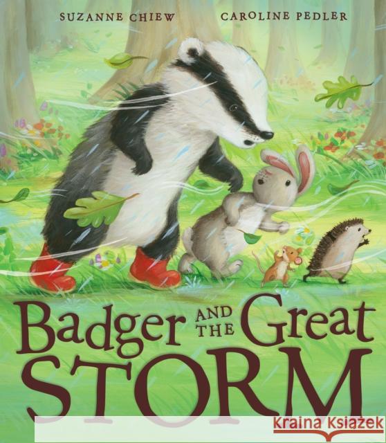 Badger and the Great Storm Suzanne Chiew 9781848690479