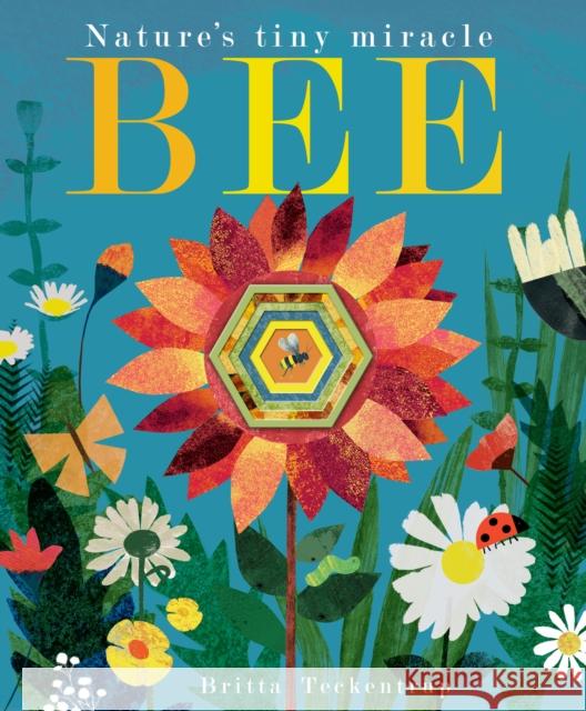 Bee: Nature's tiny miracle Patricia Hegarty 9781848692886