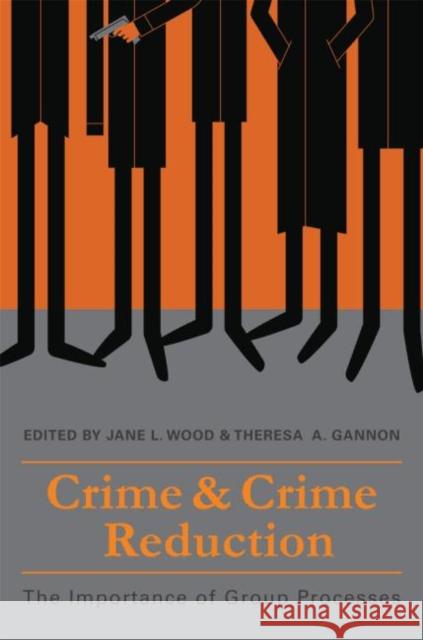 Crime and Crime Reduction: The Importance of Group Processes Wood, Jane L. 9781848720831