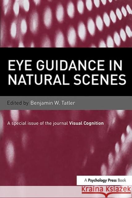 Eye Guidance in Natural Scenes Tatler, Benjamin W. 9781848727151 Taylor & Francis