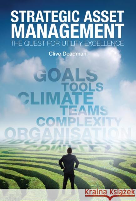 Strategic Asset Management: The quest for utility excellence Clive Deadman 9781848763661