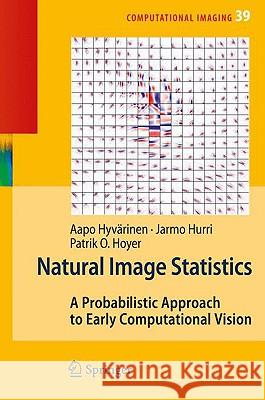 Natural Image Statistics: A Probabilistic Approach to Early Computational Vision Hyvärinen, Aapo 9781848824904 Springer