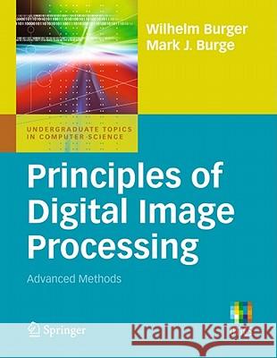 Principles of Digital Image Processing: Advanced Methods Burger, Wilhelm 9781848829183