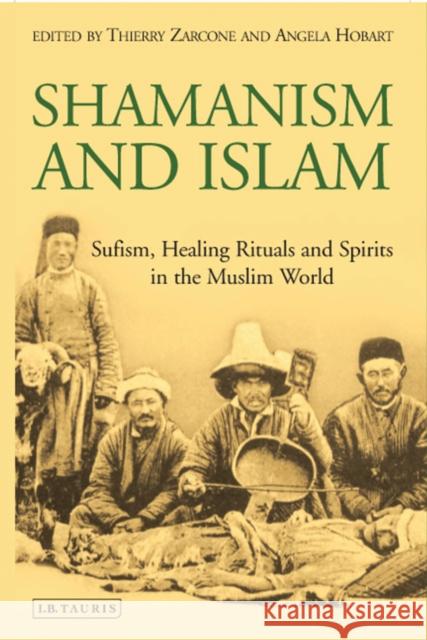 Shamanism and Islam : Sufism, Healing Rituals and Spirits in the Muslim World Thierry Zarcone 9781848856028