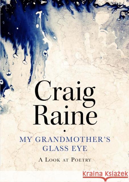 My Grandmother's Glass Eye : A Look at Poetry Craig Raine 9781848872899