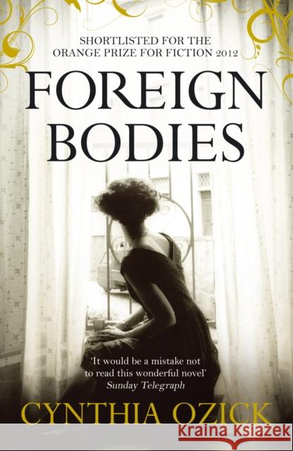 Foreign Bodies Cynthia Ozick 9781848877368