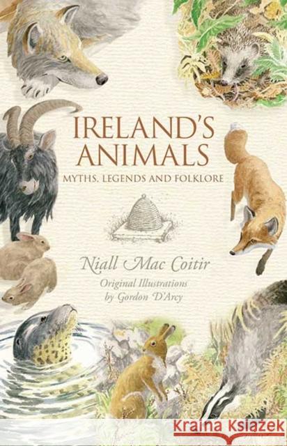 Ireland’s Animals Niall Mac Coitir 9781848892507 Gill