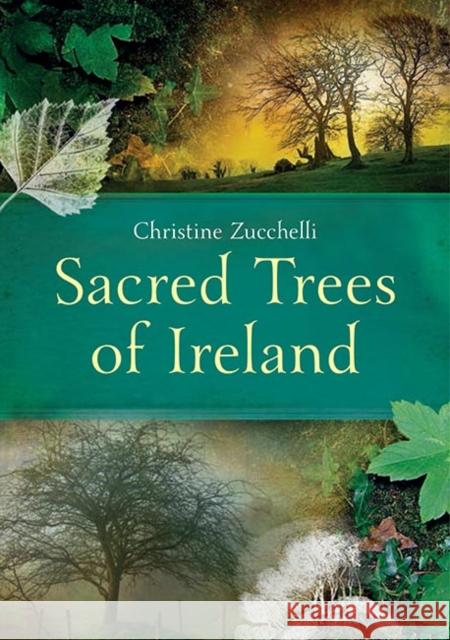 Sacred Trees of Ireland Christine Zucchelli 9781848892774 Gill