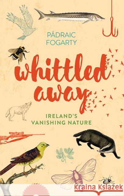 Whittled Away Padraic Fogarty 9781848893108